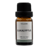 Eukalyptus Öl