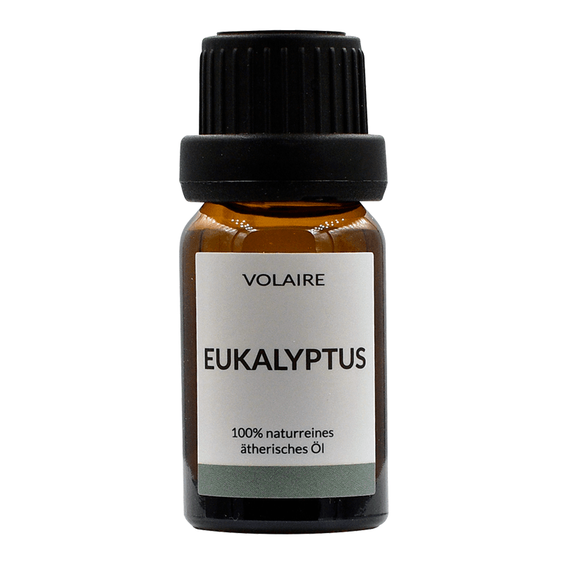 Eukalyptus Öl