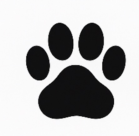 Catwalker.ch